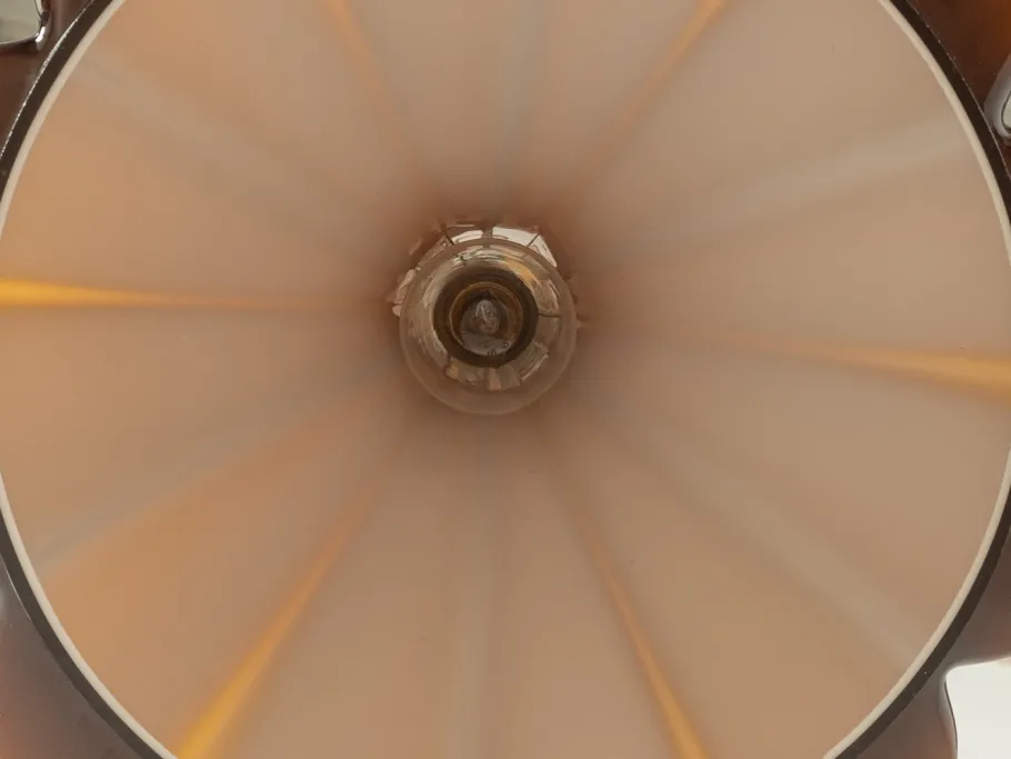 Clearance Pamono Flower-Shaped Lamp from Peill & Putzler, 1970s