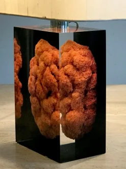 Discount Pamono French Acrylic Glass Table Lamps by Pierre Giraudon, 1970s, Set of 2