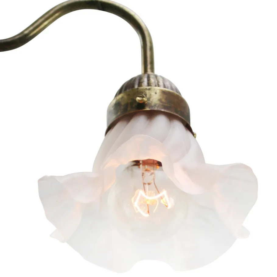 New Pamono French Satin Glass and Brass Flower Wall Lamp