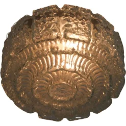 Hot Pamono Glass Flush Mount from Glashütte Limburg, 1960s