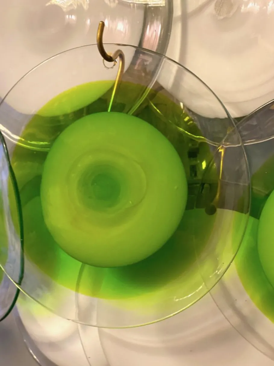 Hot Pamono Green and White Disc Murano Glass Sconces or Wall Lights, Set of 2