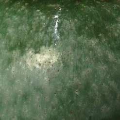 New Pamono Green Ceramic Floor Lamp from Kaiser with Silk Lampshade by R. Houben, 1960s