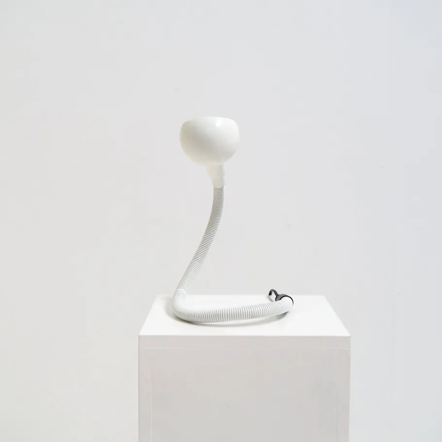 New Pamono Hebi Table Lamp by Isao Hosoe for Valenti, Italy, 1970s