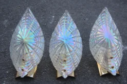 Discount Pamono Iridescent Murano Glass & Gold-Plated Brass Shell Sconce, 1970s