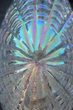 Discount Pamono Iridescent Murano Glass & Gold-Plated Brass Shell Sconce, 1970s