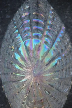 Discount Pamono Iridescent Murano Glass & Gold-Plated Brass Shell Sconce, 1970s