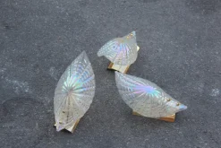 Discount Pamono Iridescent Murano Glass & Gold-Plated Brass Shell Sconce, 1970s