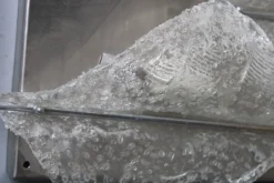 Clearance Pamono Italian Murano Glass Wall Lamp from Mazzega, 1970s