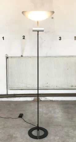 Best Pamono Italian Zen Terra Floor Lamp by Ernesto Gismondi for Artemide, 1980s