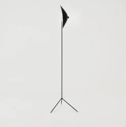 Hot Pamono Lamp by Serge Mouille, 1953