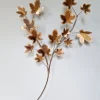 Best Pamono Large Brass Brutalist Wall Light with Branches and Maple Leaves, 1970