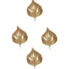 New Pamono Large Rhubarb Leaf Brass Wall Light or Sconce by Tommaso Barbi, 1970s