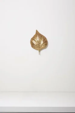 New Pamono Large Rhubarb Leaf Brass Wall Light or Sconce by Tommaso Barbi, 1970s