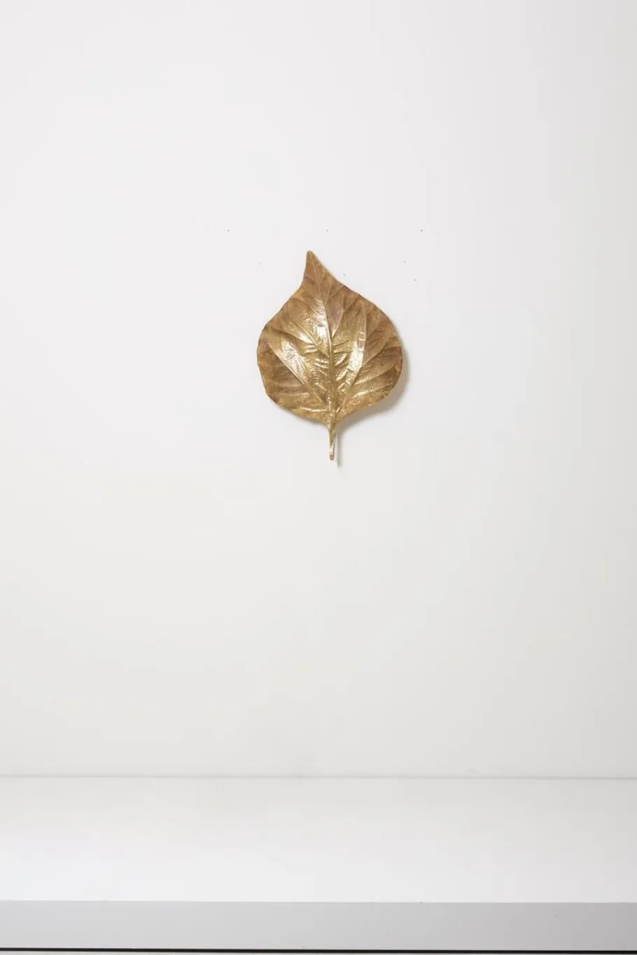 New Pamono Large Rhubarb Leaf Brass Wall Light or Sconce by Tommaso Barbi, 1970s