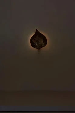 New Pamono Large Rhubarb Leaf Brass Wall Light or Sconce by Tommaso Barbi, 1970s