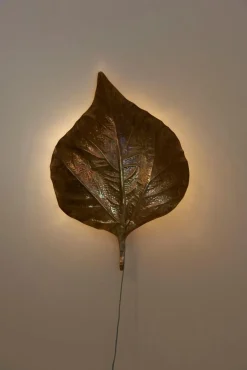 New Pamono Large Rhubarb Leaf Brass Wall Light or Sconce by Tommaso Barbi, 1970s