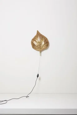 New Pamono Large Rhubarb Leaf Brass Wall Light or Sconce by Tommaso Barbi, 1970s