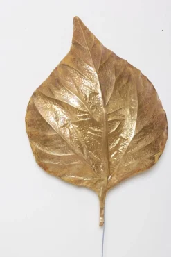 New Pamono Large Rhubarb Leaf Brass Wall Light or Sconce by Tommaso Barbi, 1970s