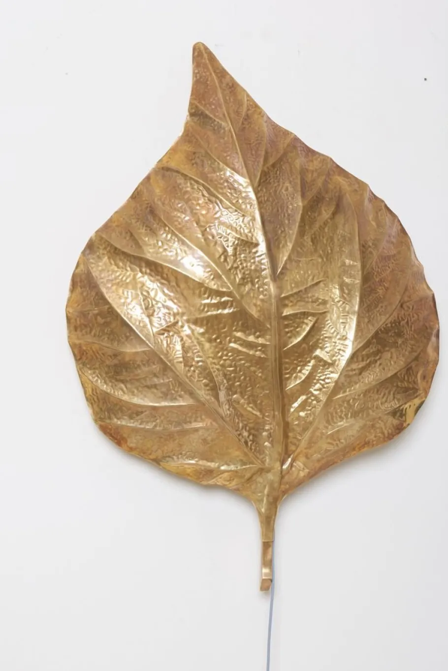 New Pamono Large Rhubarb Leaf Brass Wall Light or Sconce by Tommaso Barbi, 1970s