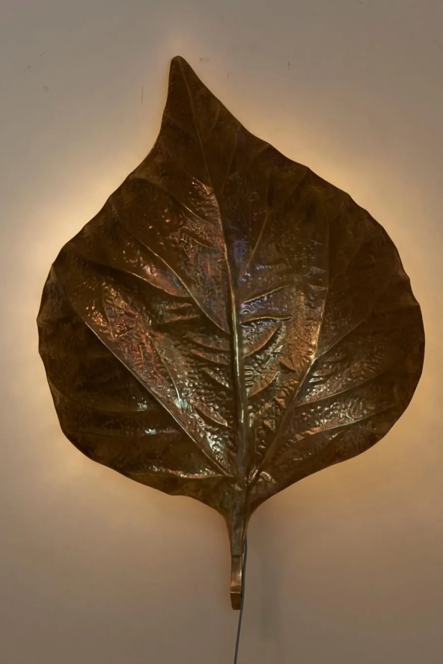 New Pamono Large Rhubarb Leaf Brass Wall Light or Sconce by Tommaso Barbi, 1970s