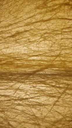 Hot Pamono Large Taraxacum Ceiling Lamp by Achille and Pier Giacomo Castiglioni for Flos, 1960s