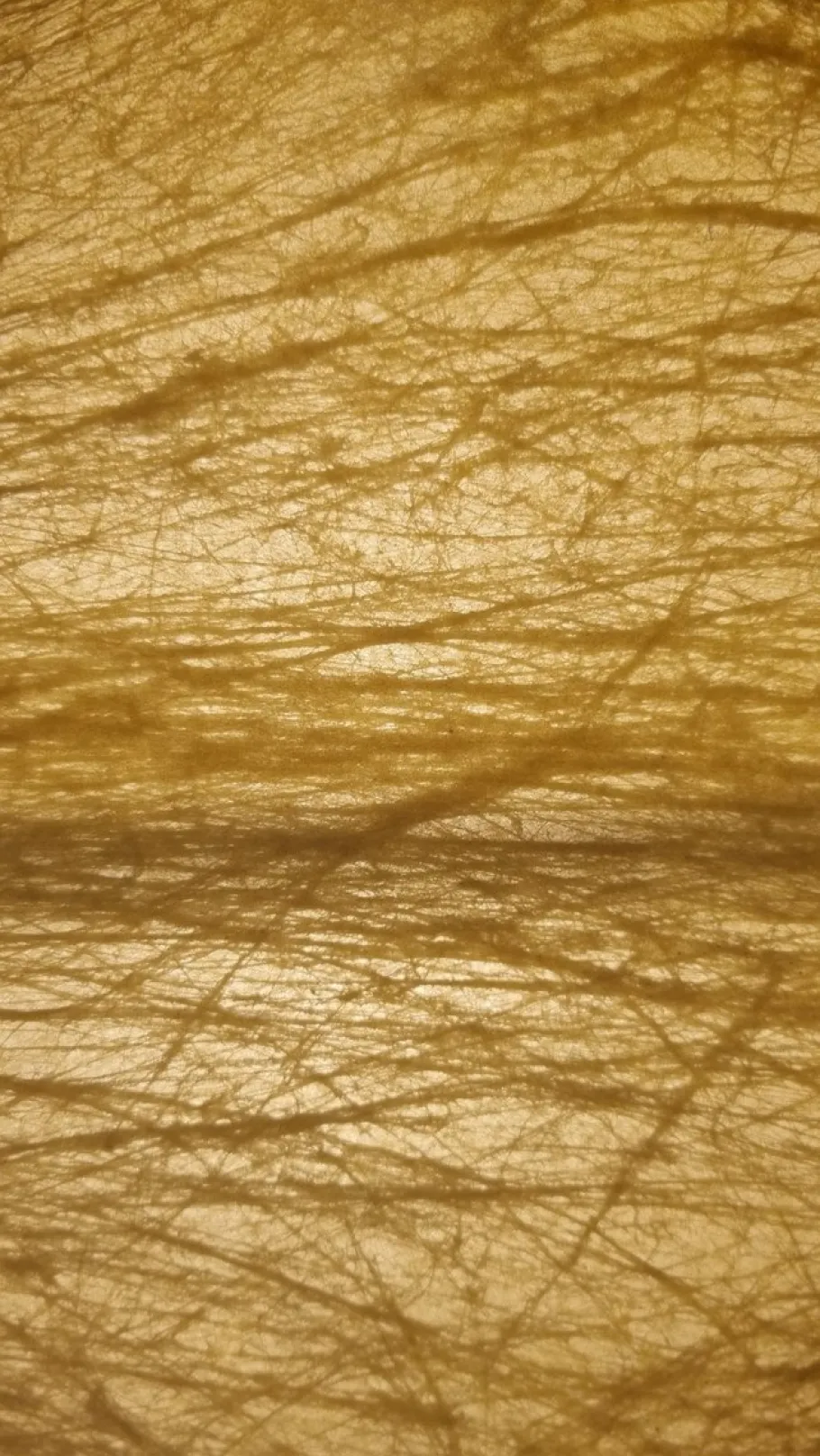 Hot Pamono Large Taraxacum Ceiling Lamp by Achille and Pier Giacomo Castiglioni for Flos, 1960s