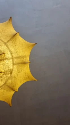 Hot Pamono Large Taraxacum Ceiling Lamp by Achille and Pier Giacomo Castiglioni for Flos, 1960s