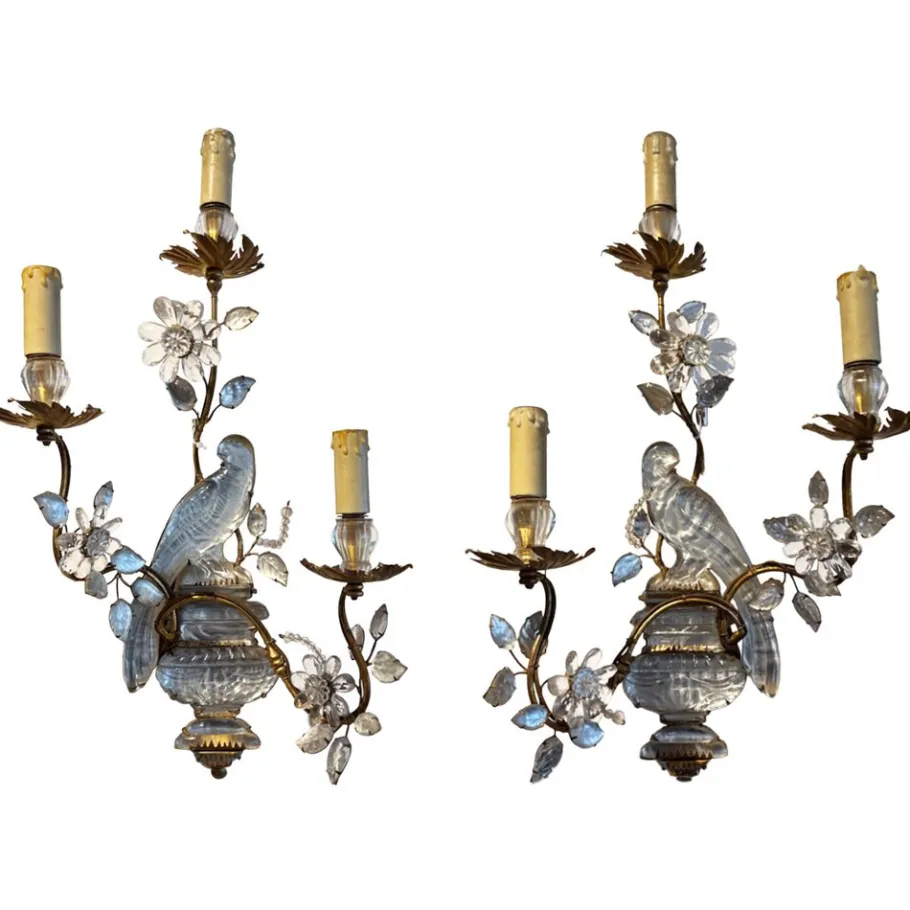 New Pamono Large Wall Sconces with Parrot from Maison Baguès, 1960s, Set of 2
