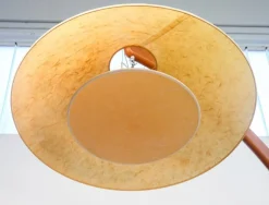 Discount Pamono Luna Floor Lamp from Natuzzi