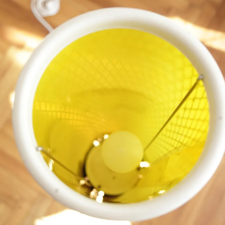 Best Pamono Mid-Century Floor Lamp by Josef Hurka for Napako, 1960