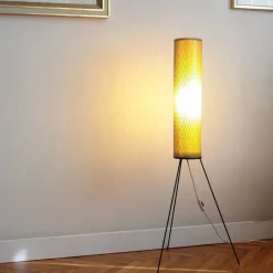 Best Pamono Mid-Century Floor Lamp by Josef Hurka for Napako, 1960