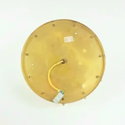 Clearance Pamono Mid-Century Floral Murano Glass and Brass Flush Mount by Ernst Palme for Palwa, Germany, 1960s