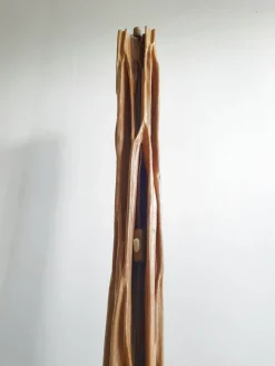 Best Pamono Mid-Century French Floor Lamp in Driftwood & Mahogany, 1950s