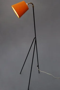 Best Pamono Mid-Century Giraffe Floor Lamp by Ajh, Sweden, 1950s