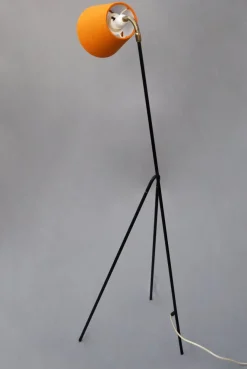 Best Pamono Mid-Century Giraffe Floor Lamp by Ajh, Sweden, 1950s