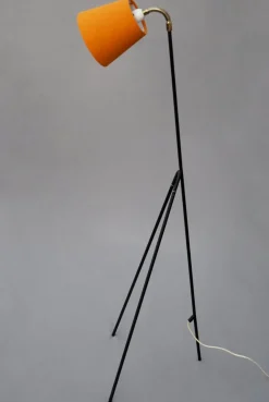 Best Pamono Mid-Century Giraffe Floor Lamp by Ajh, Sweden, 1950s