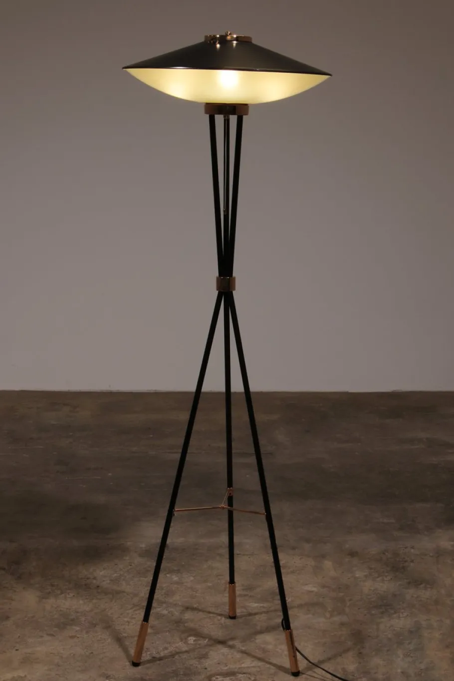 New Pamono Mid-Century Italian Floor Lamp from Stilnovo, 1950s