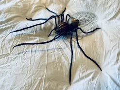 Discount Pamono Mid-Century Italian Modern Metal and Glass Spider Wall Lamp, 1950s