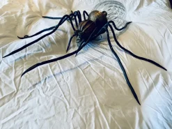 Discount Pamono Mid-Century Italian Modern Metal and Glass Spider Wall Lamp, 1950s