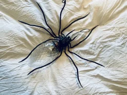 Discount Pamono Mid-Century Italian Modern Metal and Glass Spider Wall Lamp, 1950s