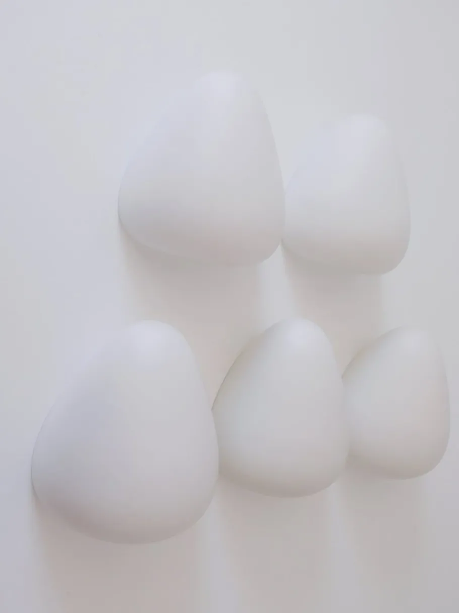 New Pamono Mid-Century Modern Corno Wall Light by Wilhelm Wagenfeld for Peill & Putzler, 1950s