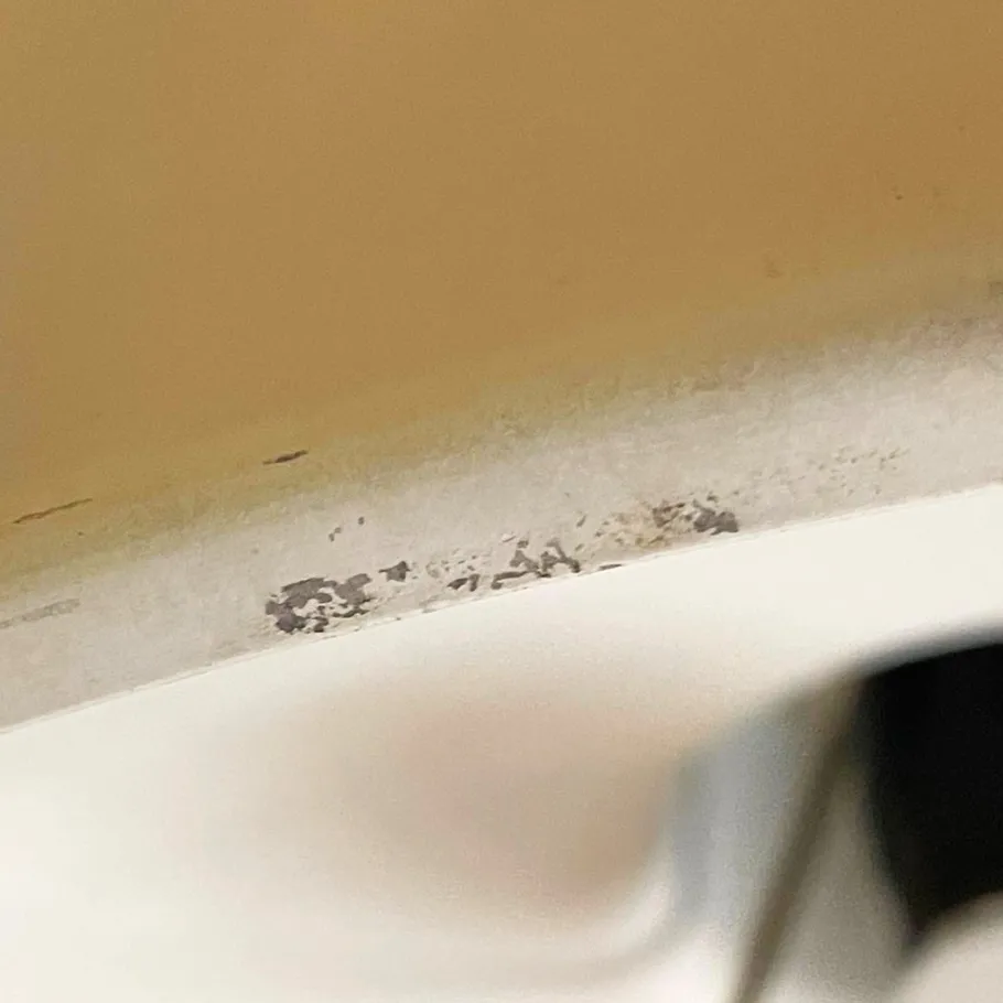 New Pamono Mid-Century Modern Italian Wall Lamp in Brass and Metal by Chiarini, 1950s