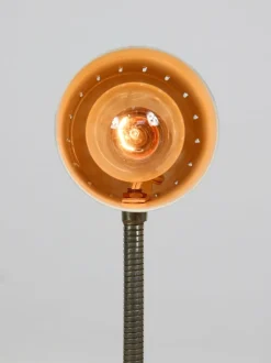 Best Pamono Mid-Century Modern Italian Gooseneck Table Lamp in Salmon and Chrome