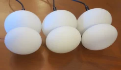 New Pamono Mid-Century Organic Shaped Opal Glass Pendant Lights, Set of 3