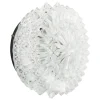 Clearance Pamono Mid-Century Round Clear Glass Wall Light
