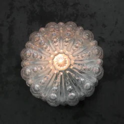 Hot Pamono Mid-Century Round Clear Glass Sconce