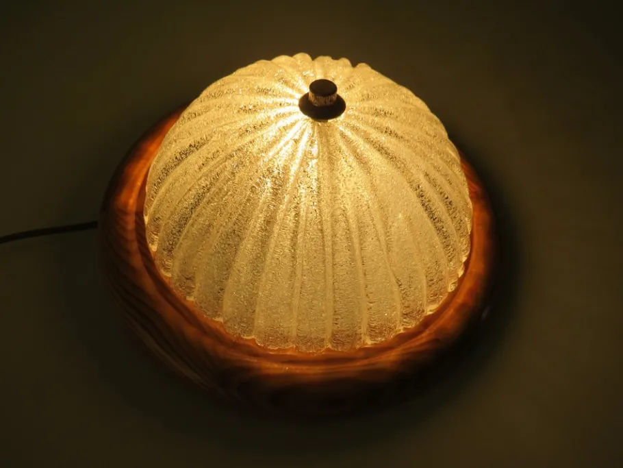 Clearance Pamono Mid-Century Wall Lamps or Ceiling Lamps from Massive Belgium, 1960, Set of 2