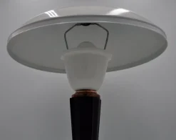 Hot Pamono Model 320 Desk or Table Lamp by Eileen Gray for Jumo