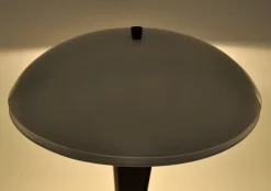 Hot Pamono Model 320 Desk or Table Lamp by Eileen Gray for Jumo