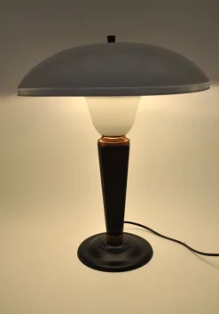 Hot Pamono Model 320 Desk or Table Lamp by Eileen Gray for Jumo